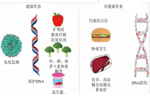 Click on image to zoom 图1
