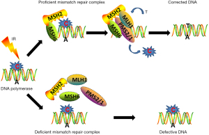 Click on image to zoom