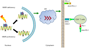 Click on image to zoom