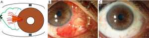 Click on image to zoom