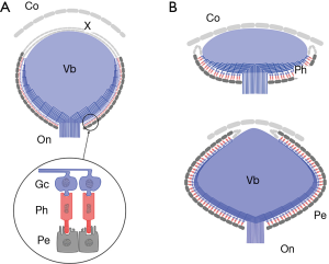 figure9