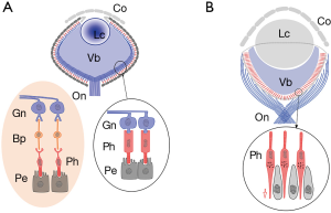 figure1