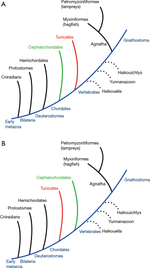 figure2