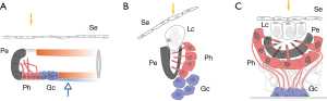 figure3