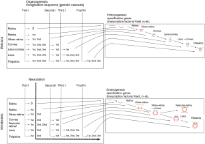 figure4