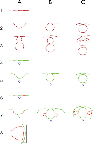 figure5