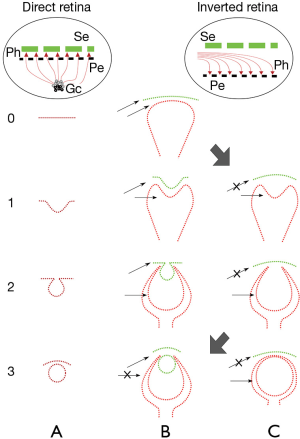 figure6