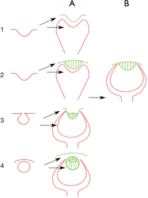 figure7