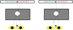 Click on image to zoom