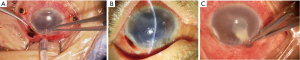 Click on image to zoom