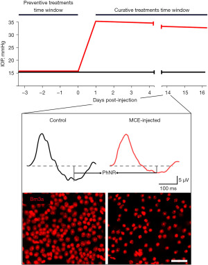 figure1