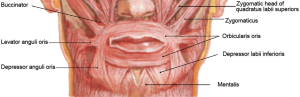 Click on image to zoom