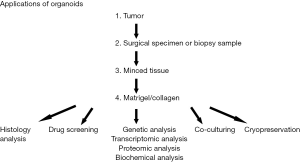 Click on image to zoom