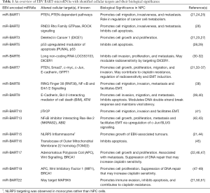 Click on image to zoom Table 1
