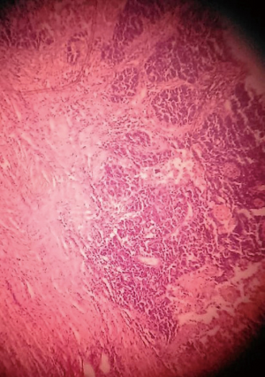 Click on image to zoom