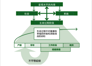 Click on image to zoom 图1