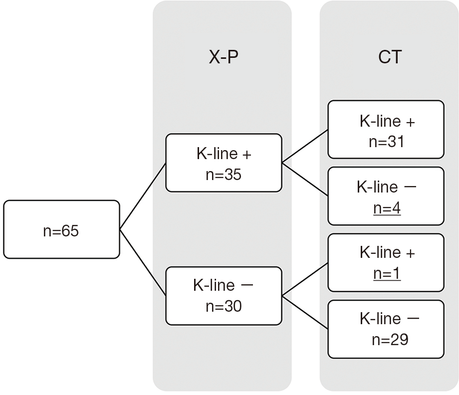 The K Line In The Cervical Ossification Of The Posterior Longitudinal Ligament Is Different On Plain Radiographs And Ct Images Ijima Journal Of Spine Surgery