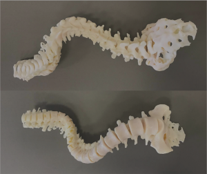 Click on image to zoom