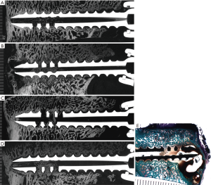 Click on image to zoom