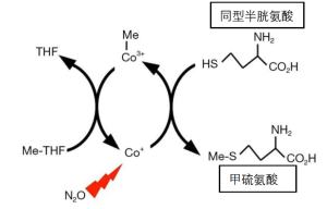 Click on image to zoom 图1