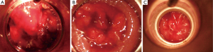 Click on image to zoom