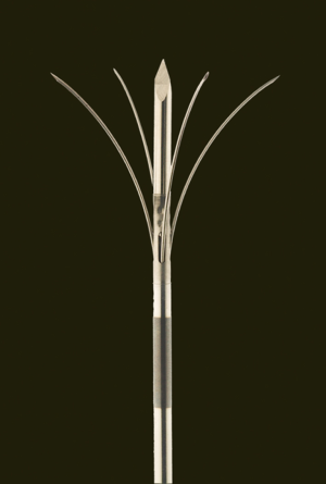 Click on image to zoom