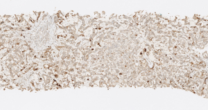 Click on image to zoom