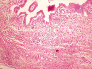 Click on image to zoom
