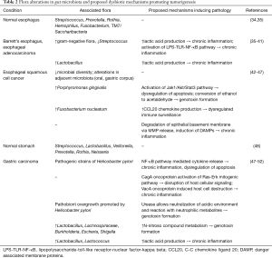 Click on image to zoom Table 2