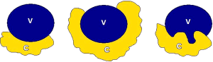 Click on image to zoom