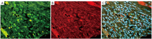 Click on image to zoom