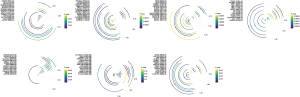 Click on image to zoom