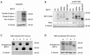 Click on image to zoom