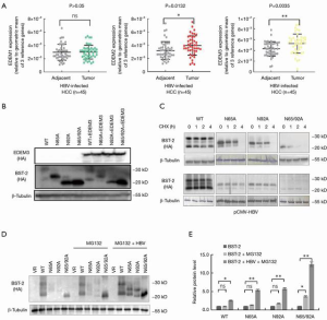 Click on image to zoom