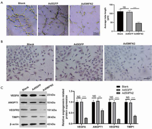 Click on image to zoom