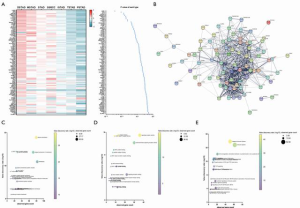 Click on image to zoom