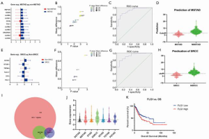 Click on image to zoom