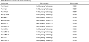 Click on image to zoom Table 2