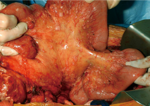 Click on image to zoom Figure 2
