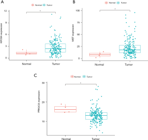 Click on image to zoom