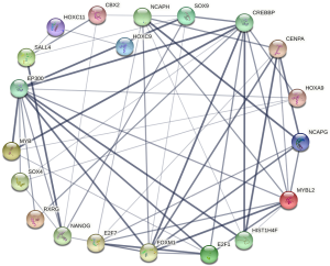 Click on image to zoom