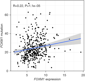 Click on image to zoom