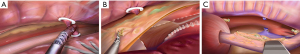 Click on image to zoom