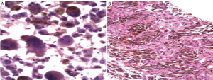 Click on image to zoom Figure 17