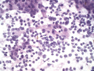 Click on image to zoom Figure 3