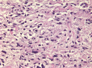 Click on image to zoom Figure 7