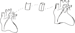 Click on image to zoom