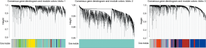 Click on image to zoom