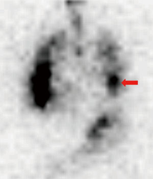Click on image to zoom
