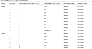 Click on image to zoom Table 1